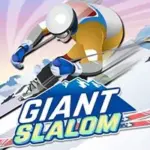 Giant Slalom game